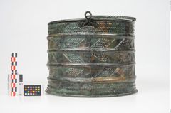 Foto von Bronzerippenziste (NHMW-PRAE-025462)
